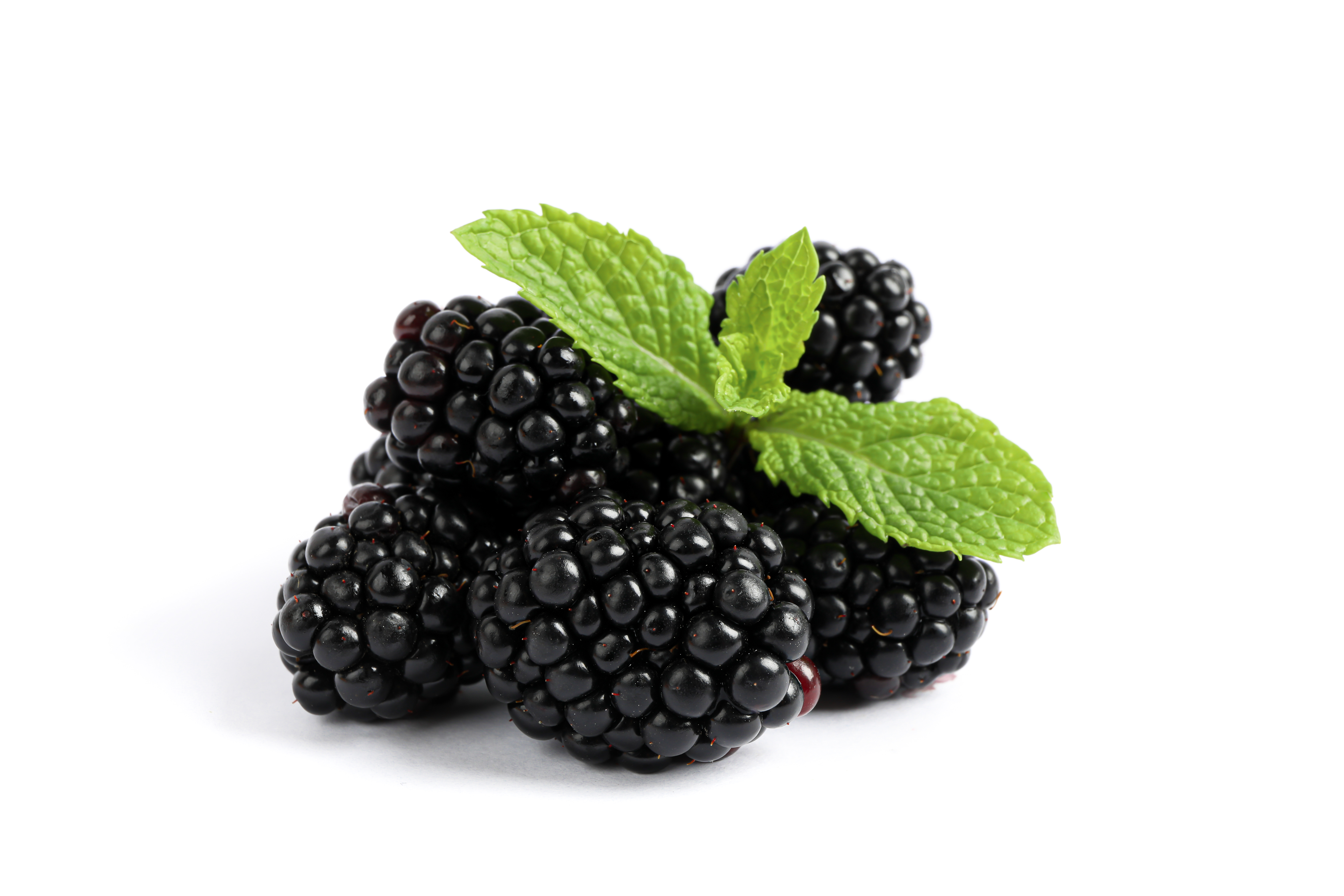 Freeze Dried Black Berry- 1 Kg Bulk Pack